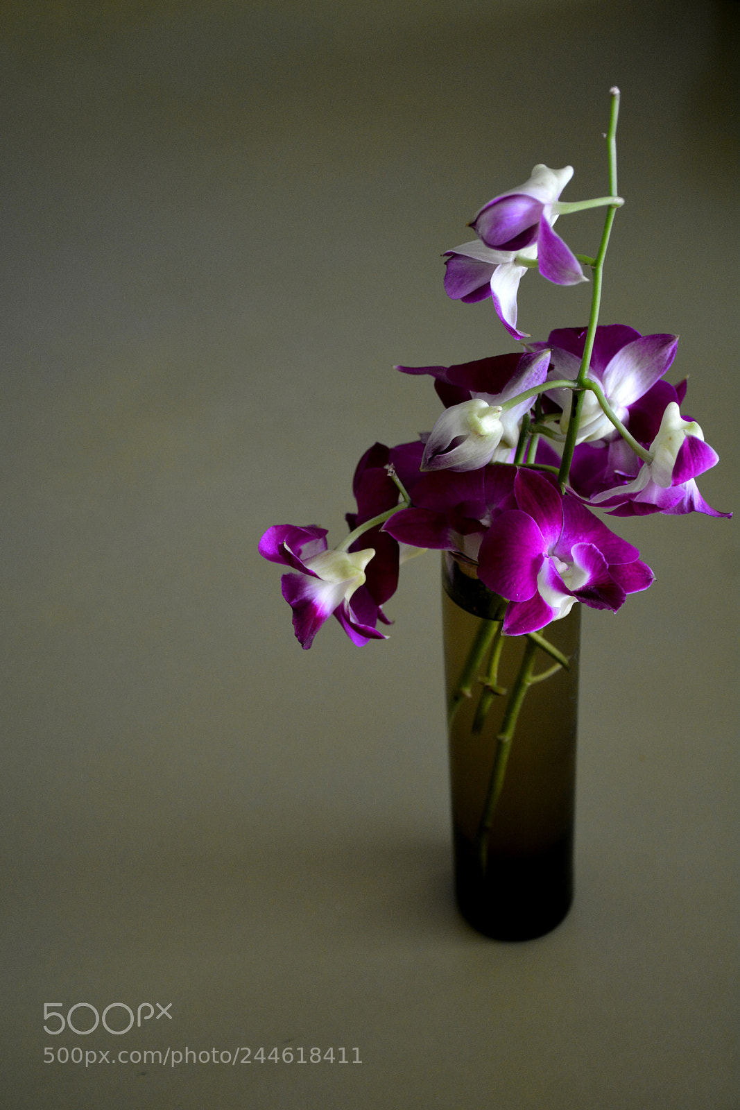 Nikon D7100 sample photo. Vase of orchids photography