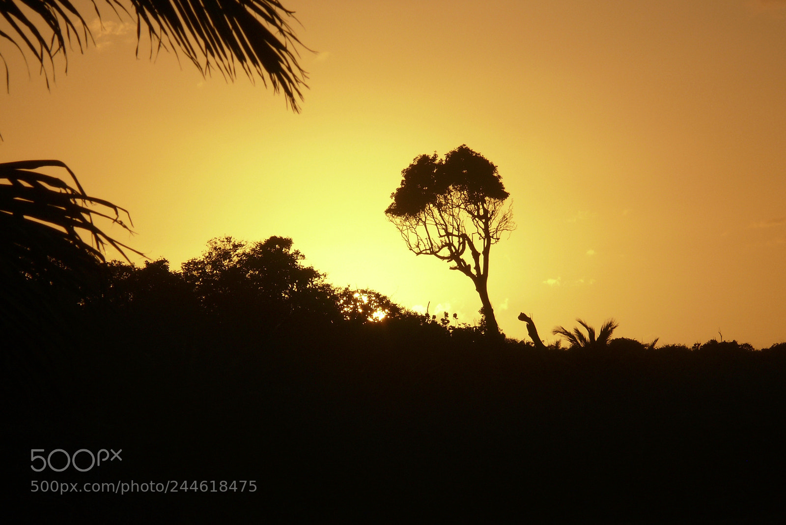 Panasonic DMC-FZ50 sample photo. Sunset photography