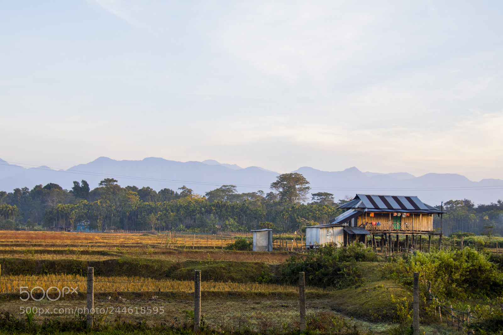 Canon EOS 750D (EOS Rebel T6i / EOS Kiss X8i) sample photo. Misty morning photography