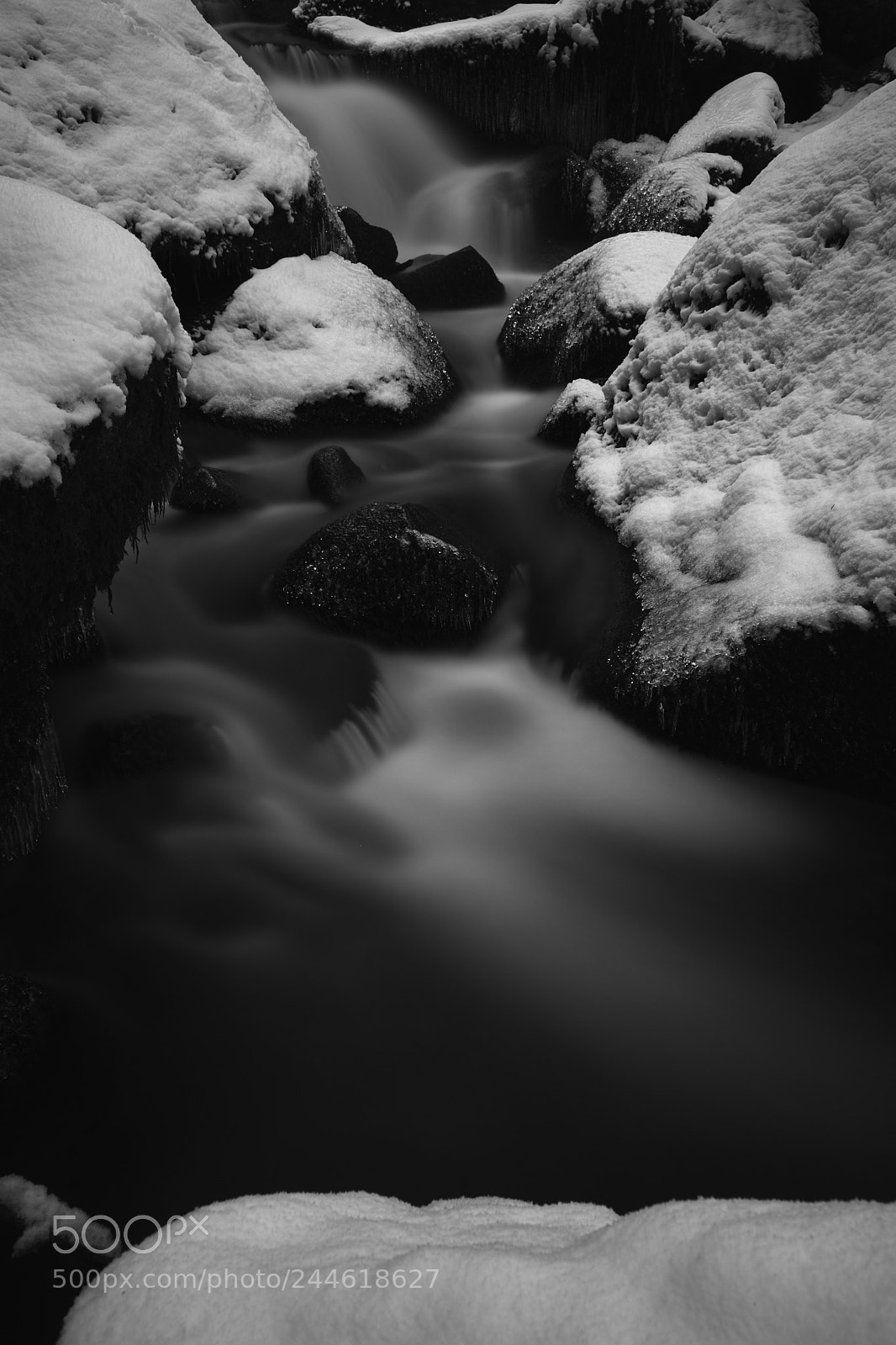 Fujifilm X-T2 sample photo. Janx498816_10 1.jpg photography
