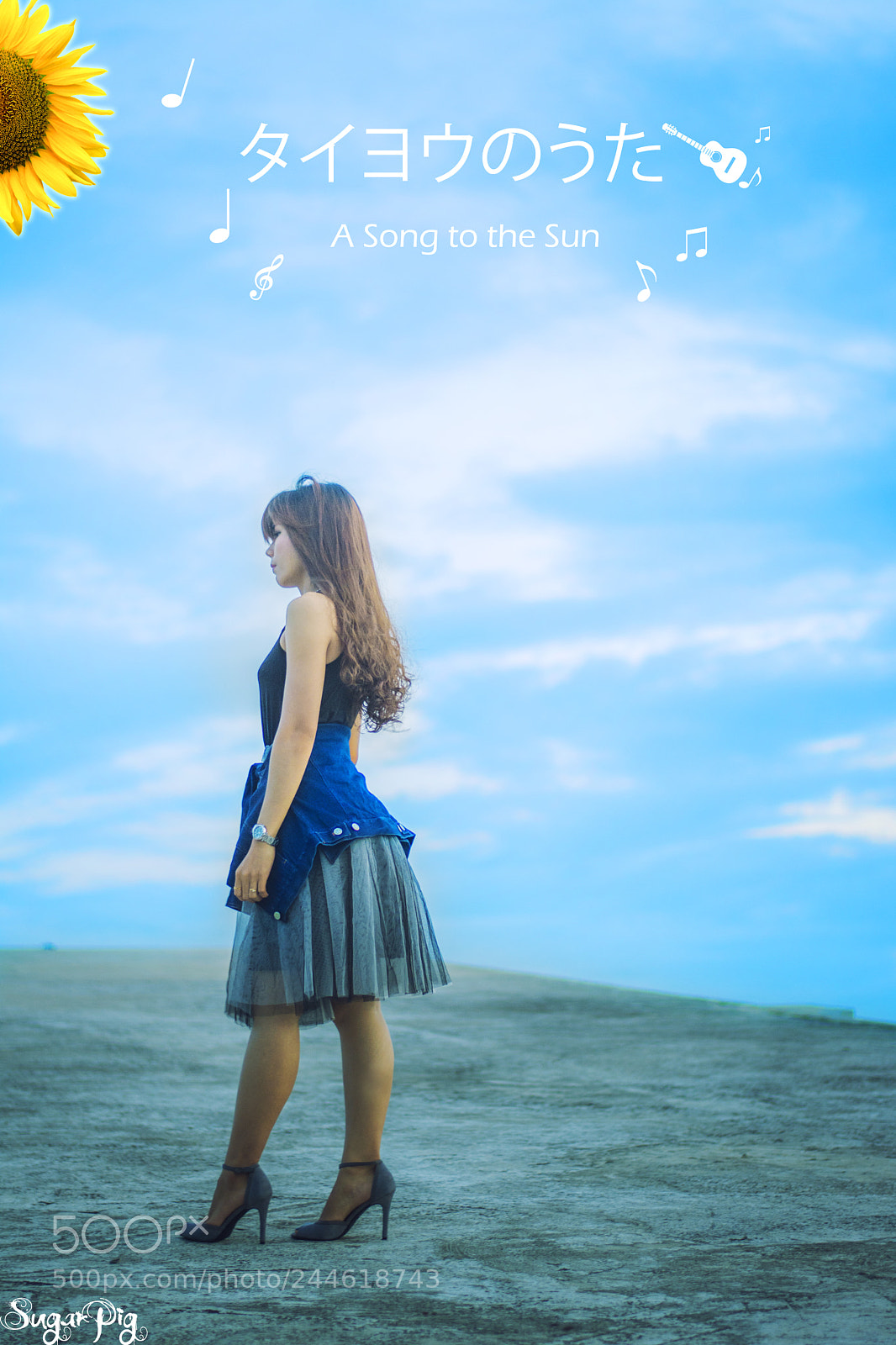 Nikon D7200 sample photo. A song to the photography
