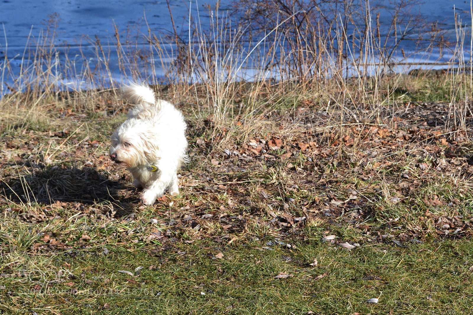 Nikon D3100 sample photo. () photography