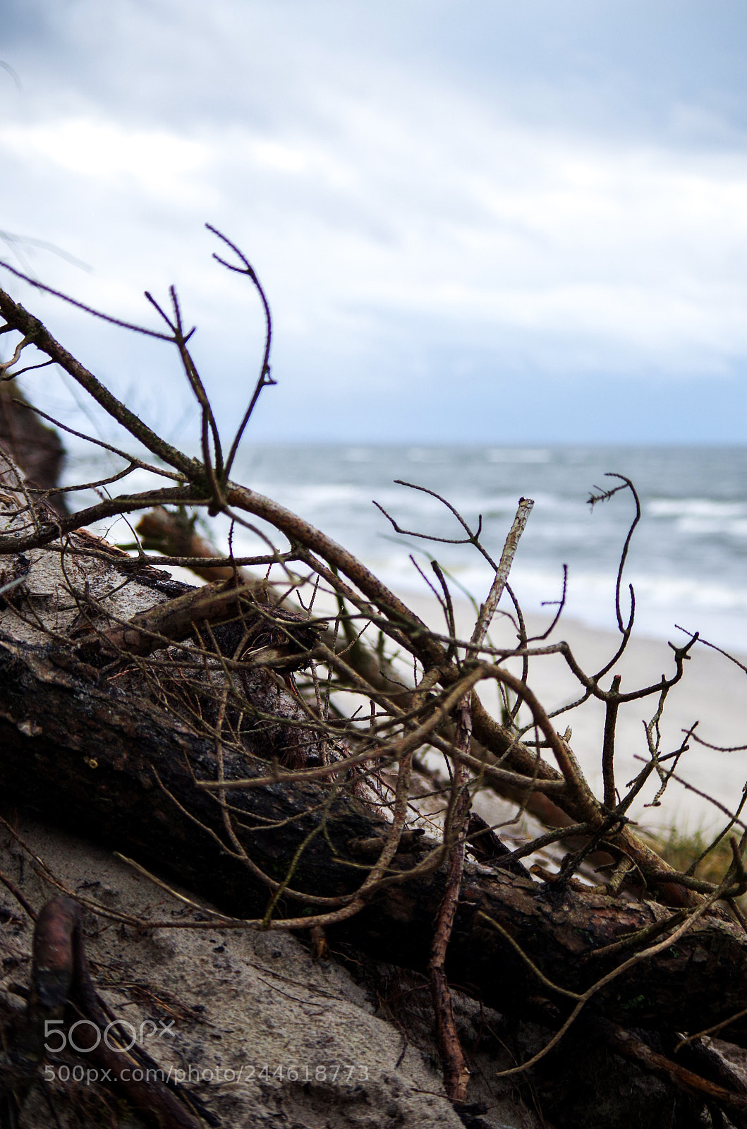 Pentax K-50 sample photo. S e a photography