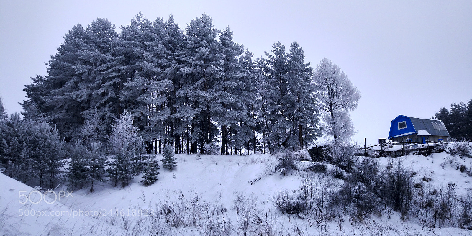 Xiaomi MI 5 sample photo. House of the ravine photography