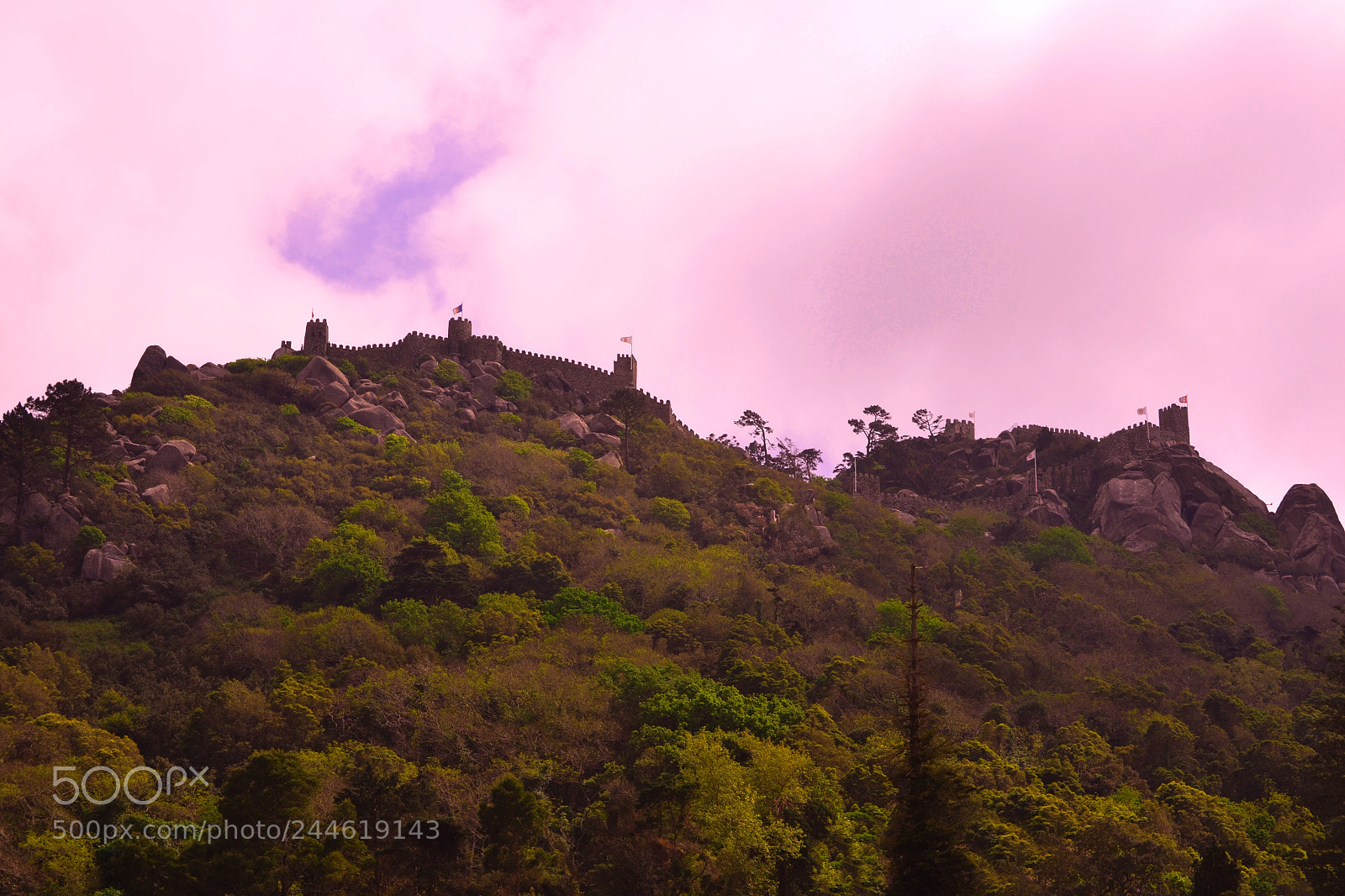Nikon D3100 sample photo. Castelo dos mouros. sintra photography