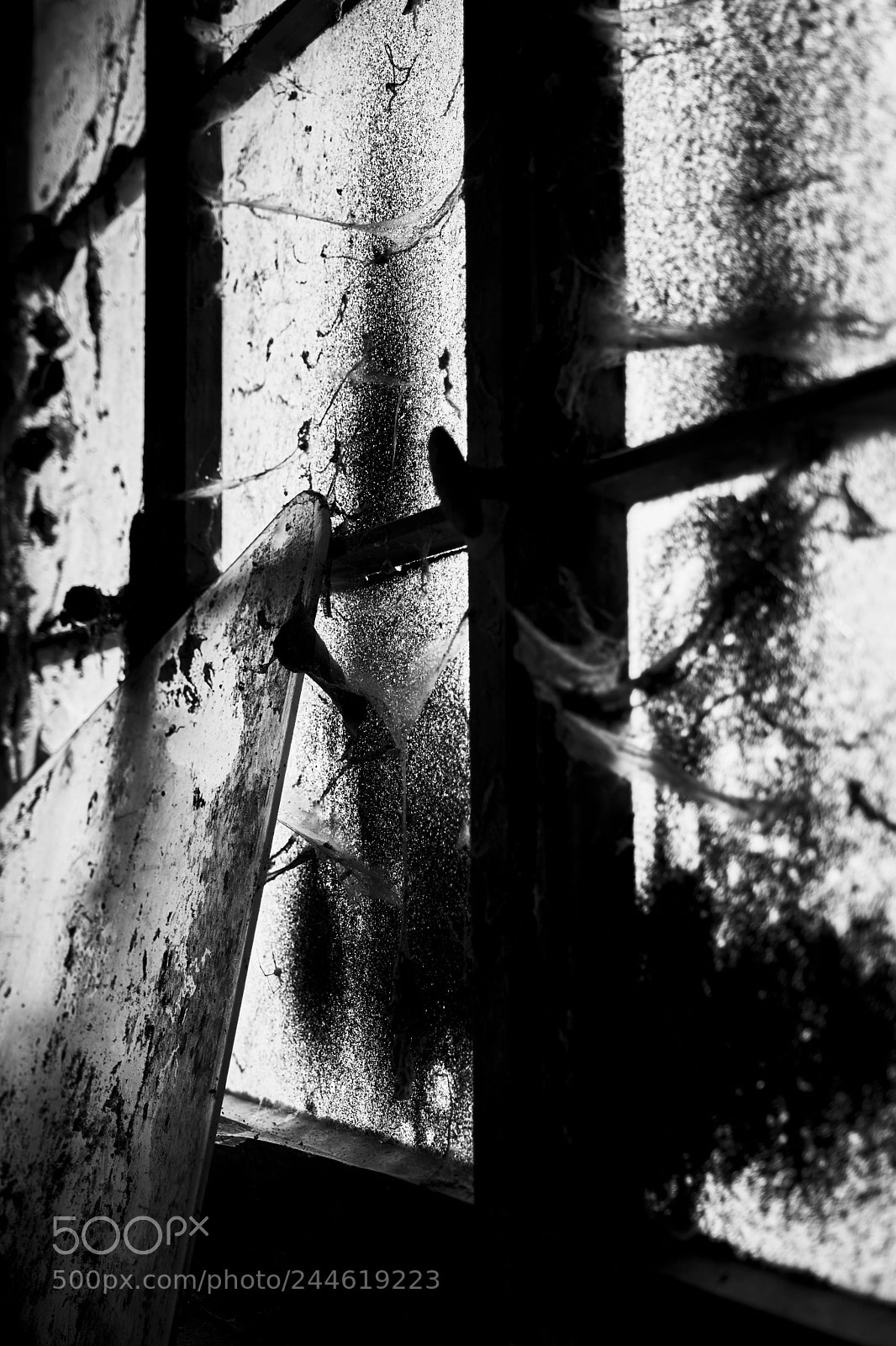 Fujifilm X-T2 sample photo. Janx photography