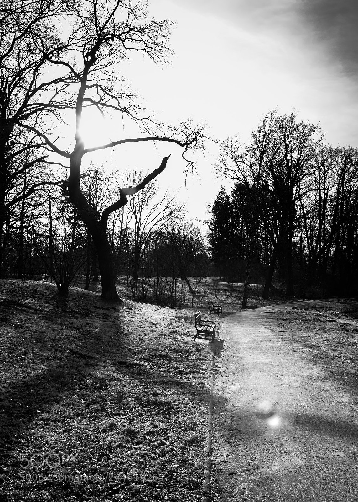 Canon EOS 60D sample photo. 210118 #3 photography