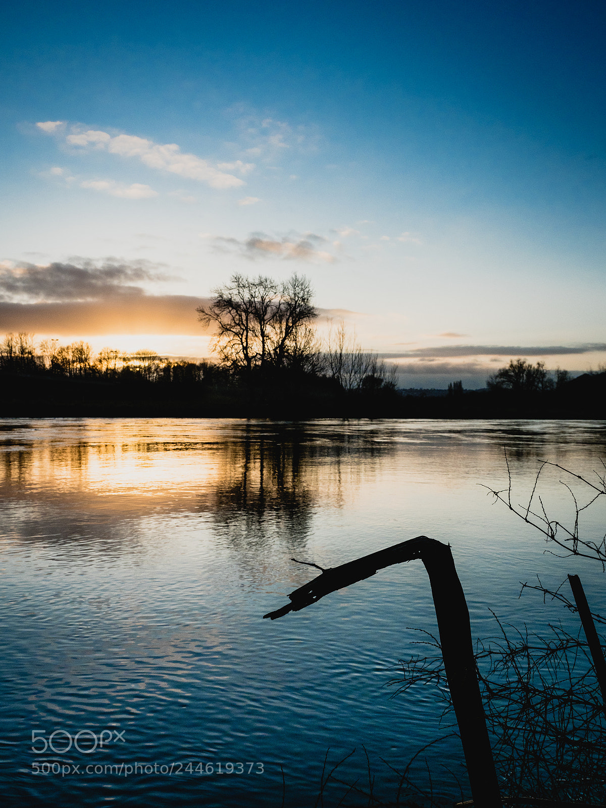 Olympus OM-D E-M1 Mark II sample photo. Early bird photography