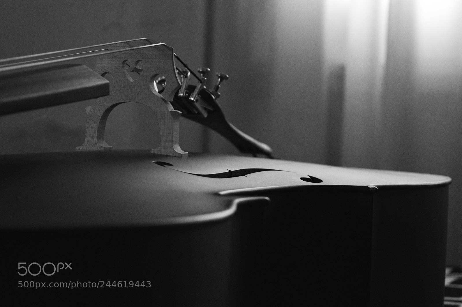 Nikon D3200 sample photo. Compañero photography