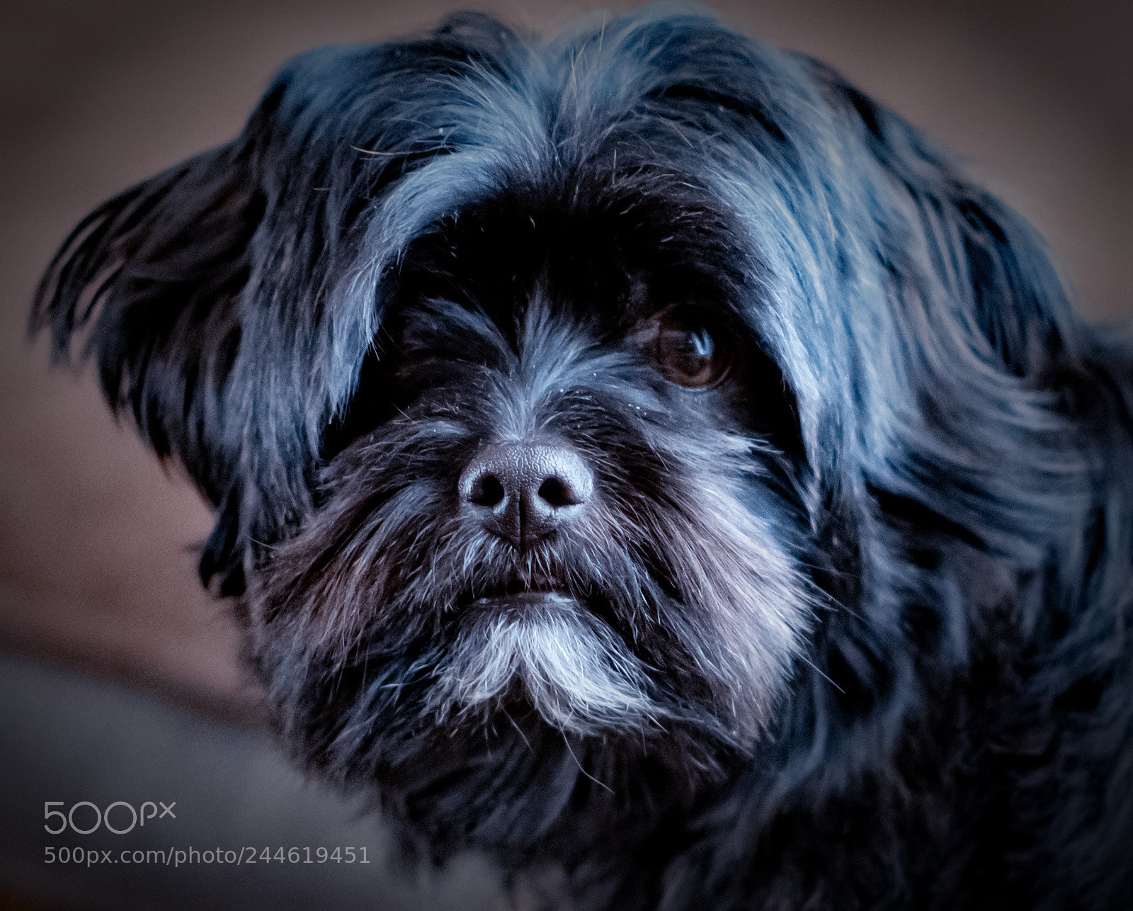 Nikon D7200 sample photo. Jack photography