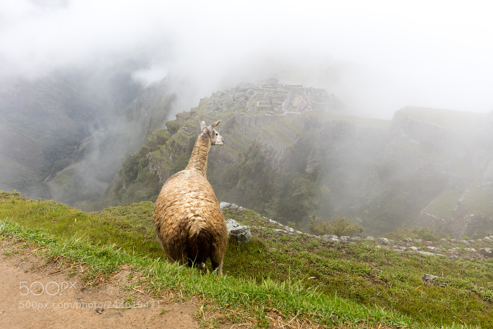 Canon EOS 5DS R sample photo. Machu picchu , peru, photography