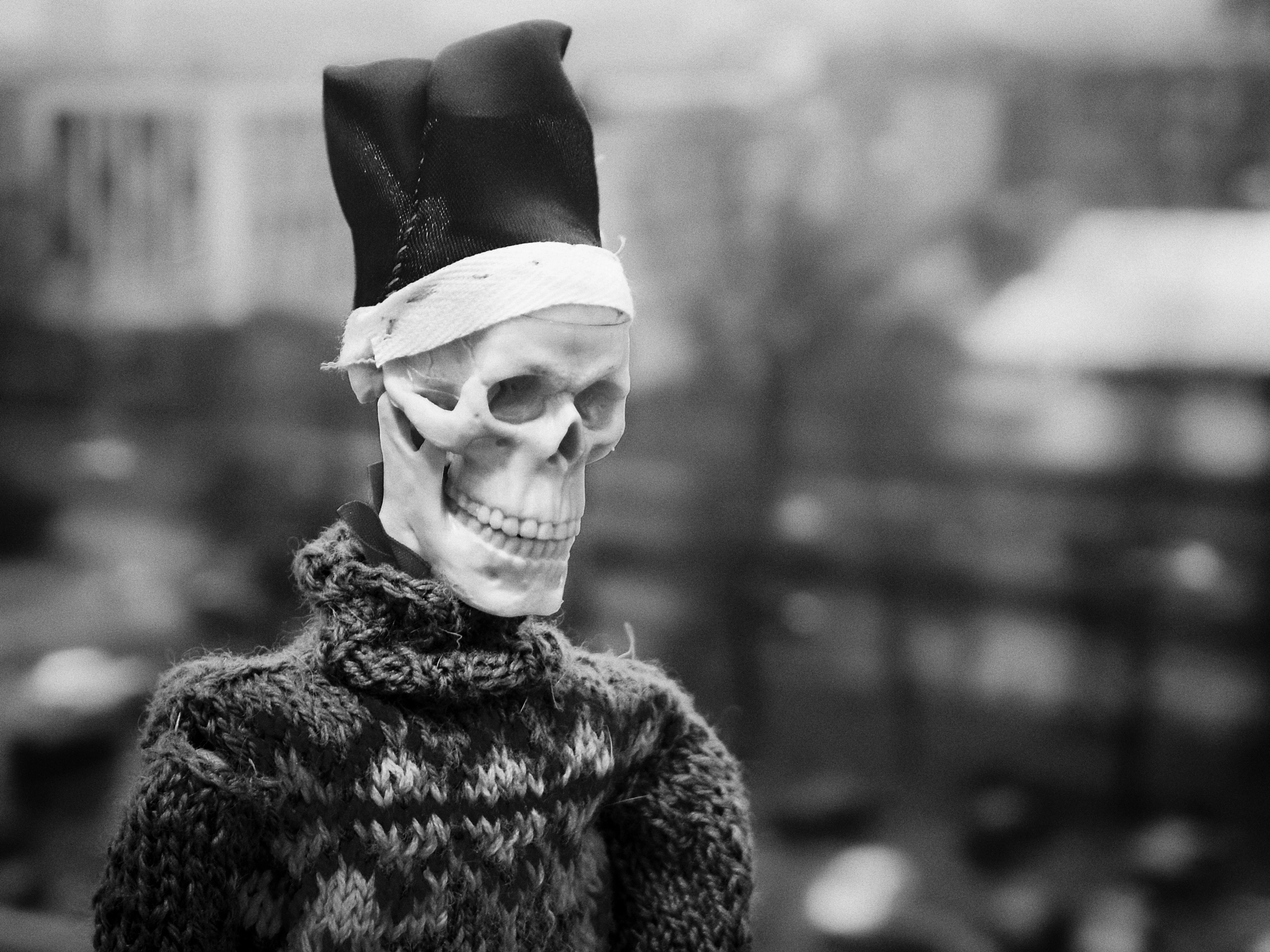 Samsung EX1 sample photo. Edmund - a nice skeleton photography