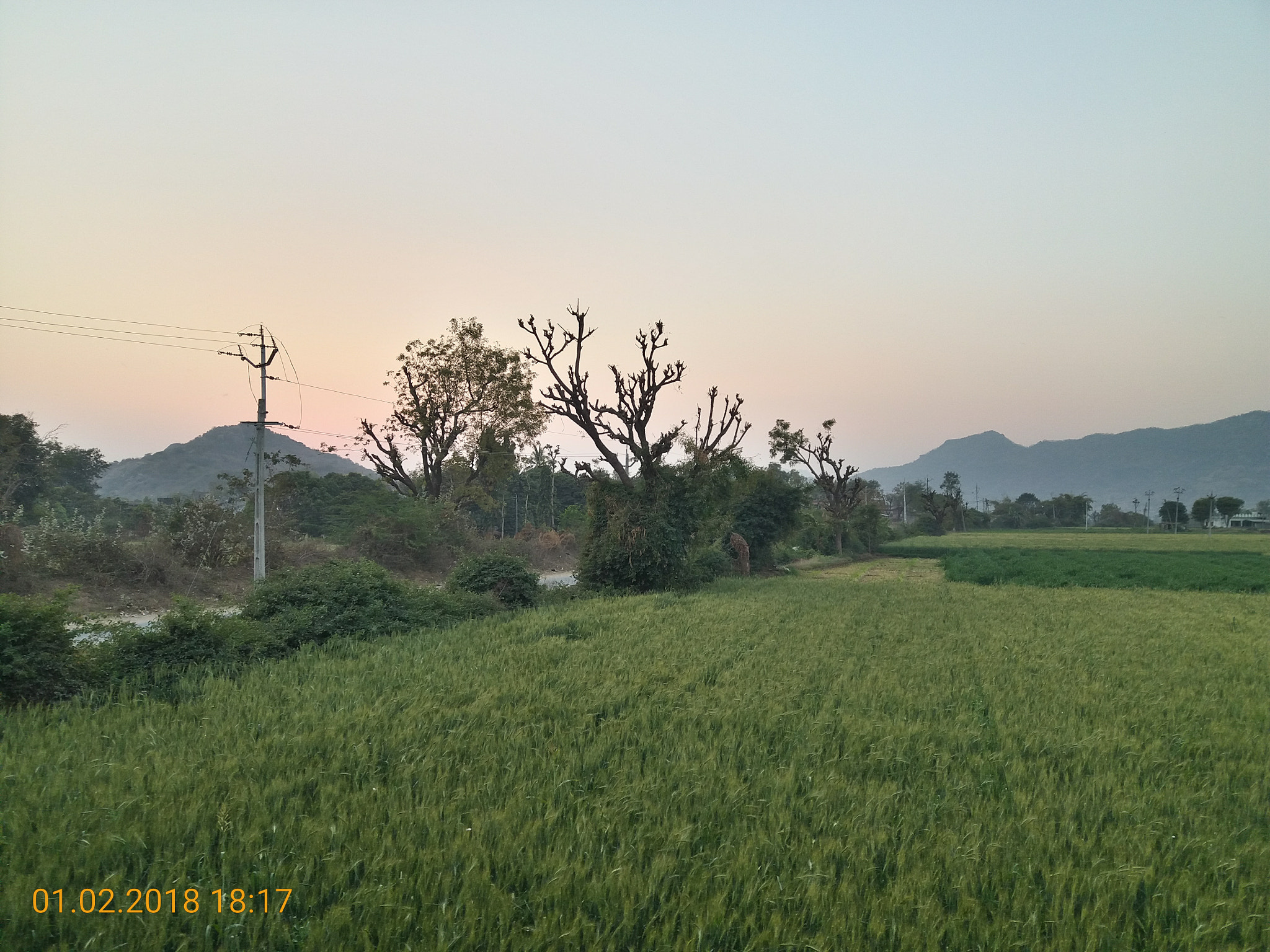 Samsung Galaxy A9 Pro sample photo