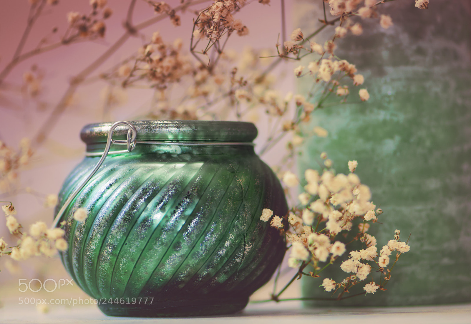Nikon D7100 sample photo. Green light photography