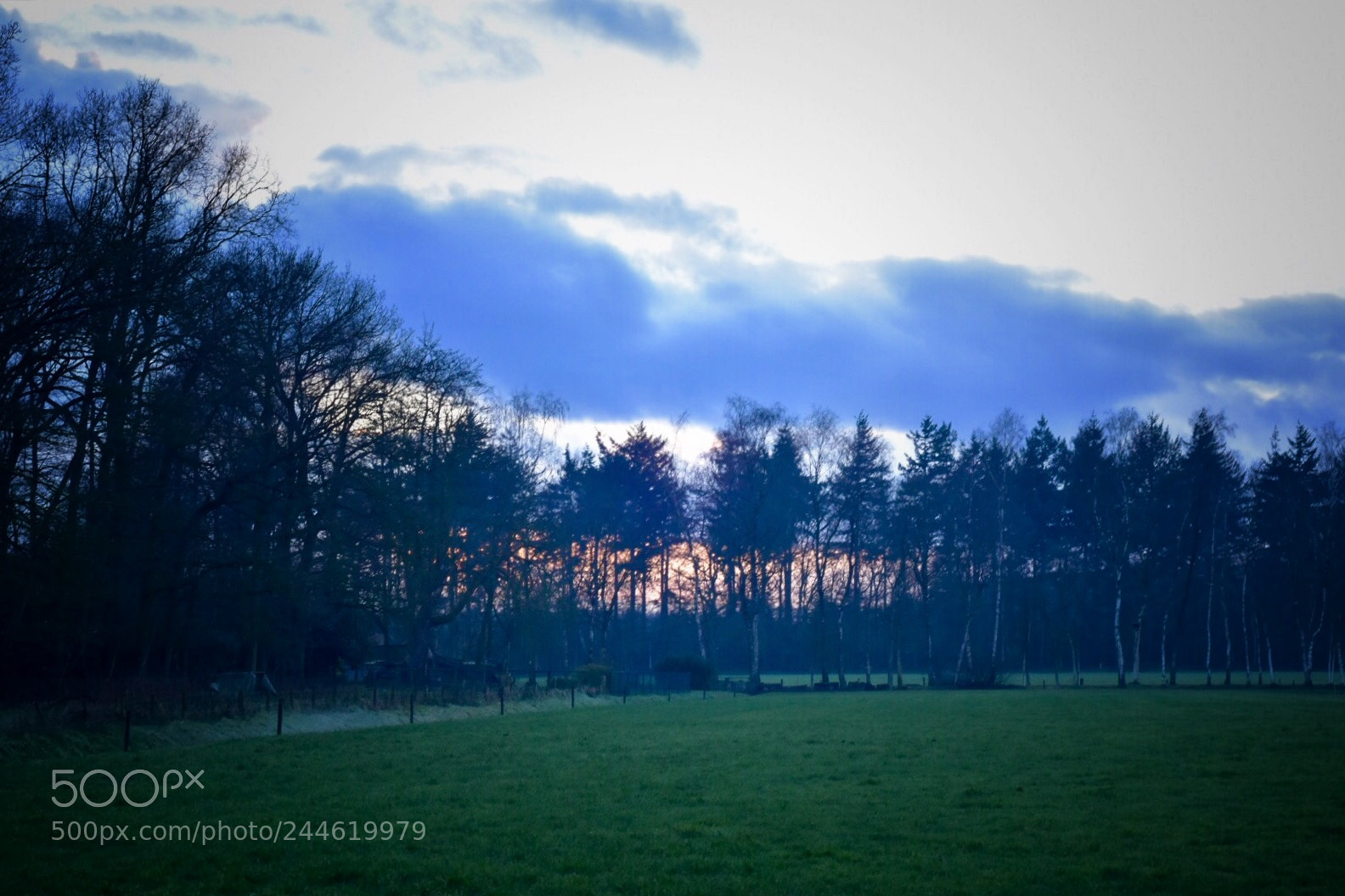 Nikon D5500 sample photo. Afternoon sky photography