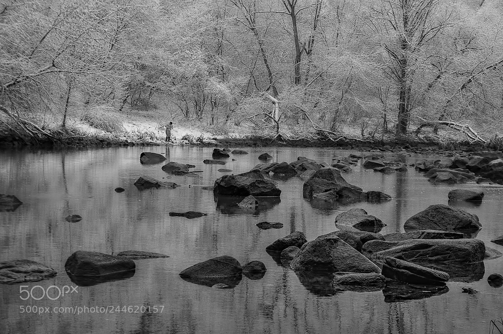 Nikon D800E sample photo. Stones photography