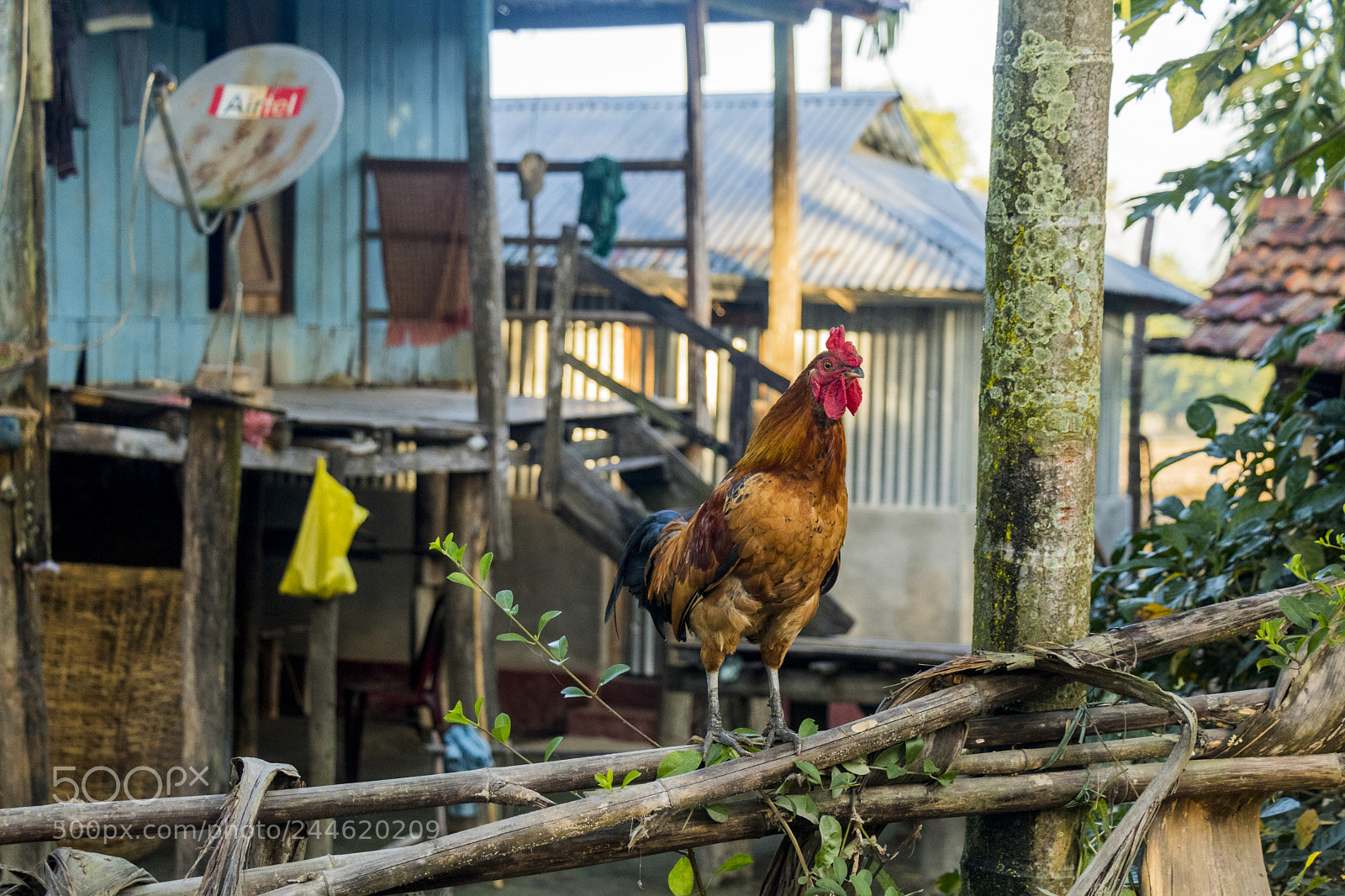 Canon EOS 750D (EOS Rebel T6i / EOS Kiss X8i) sample photo. Village scene photography