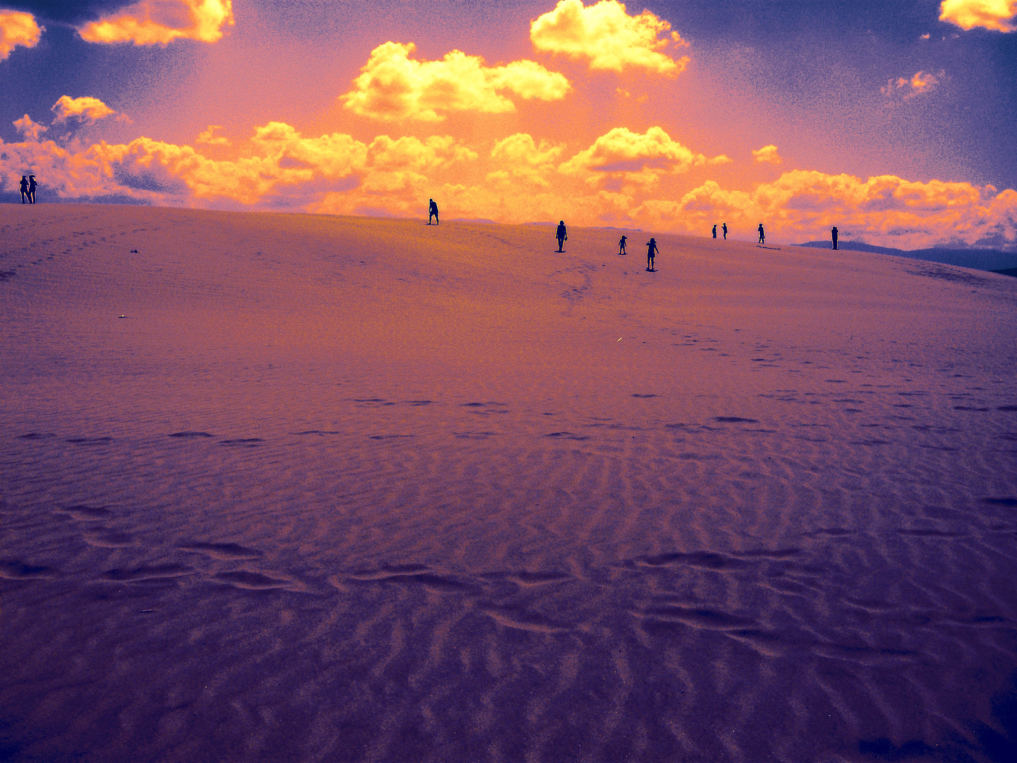 Olympus FE310,X840,C530 sample photo. Lost in paradise. photography