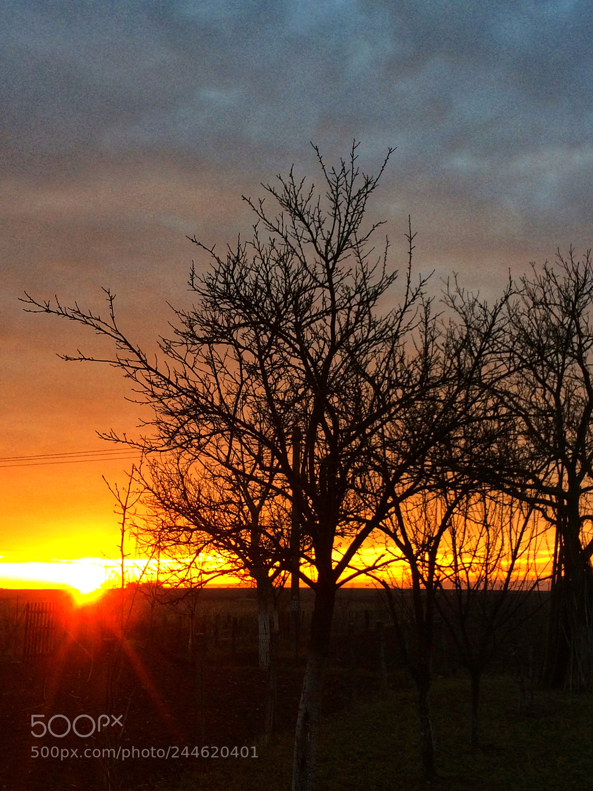 Apple iPhone 5s sample photo. Apus photography
