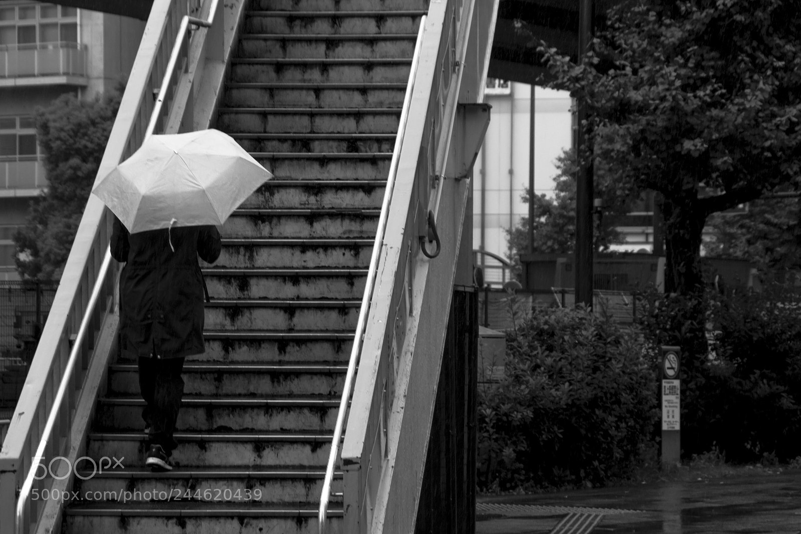 Canon EOS 550D (EOS Rebel T2i / EOS Kiss X4) sample photo. Rain. photography