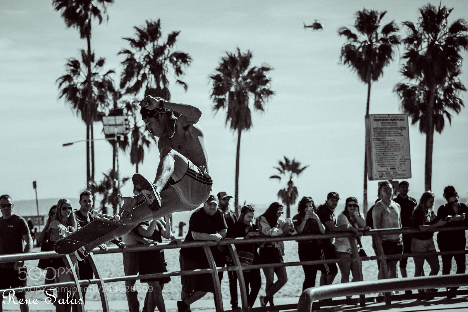 Nikon D810 sample photo. Venicebeachskate1 photography