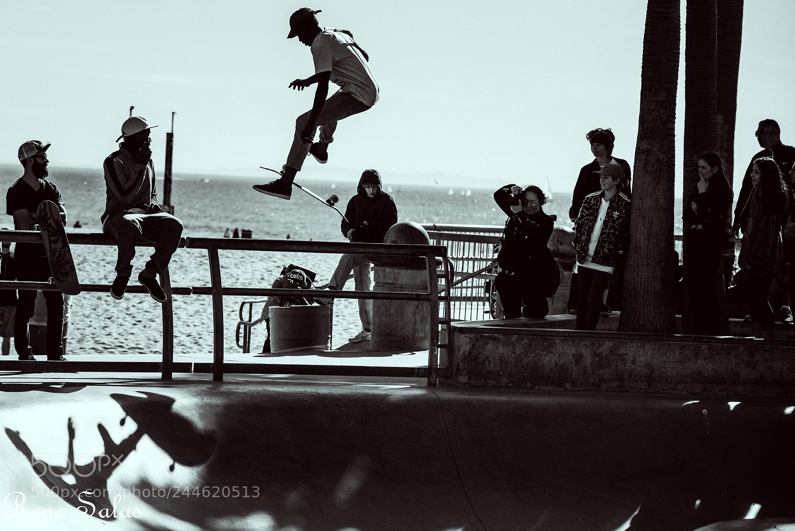 Nikon D810 sample photo. Venicebeachskate4 photography