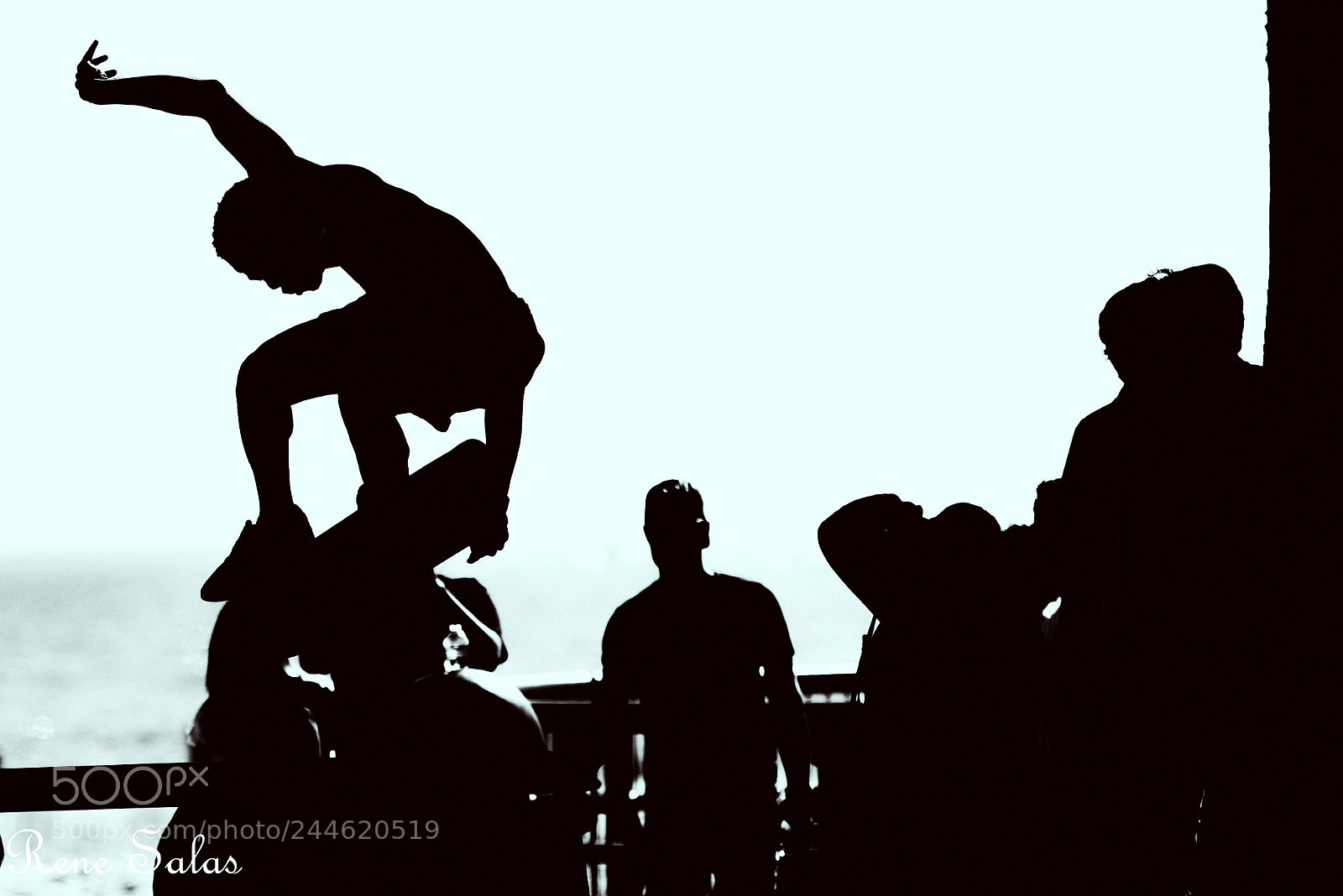 Nikon D810 sample photo. Venicebeachskate6 photography