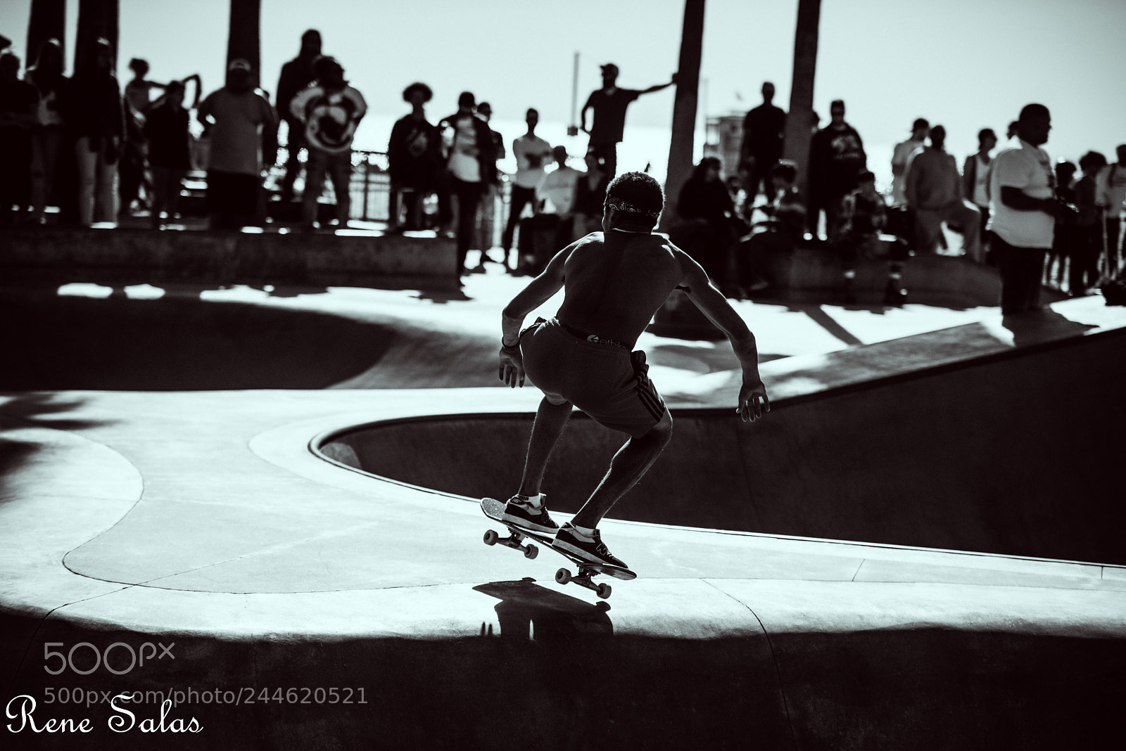 Nikon D810 sample photo. Venicebeachskate7 photography