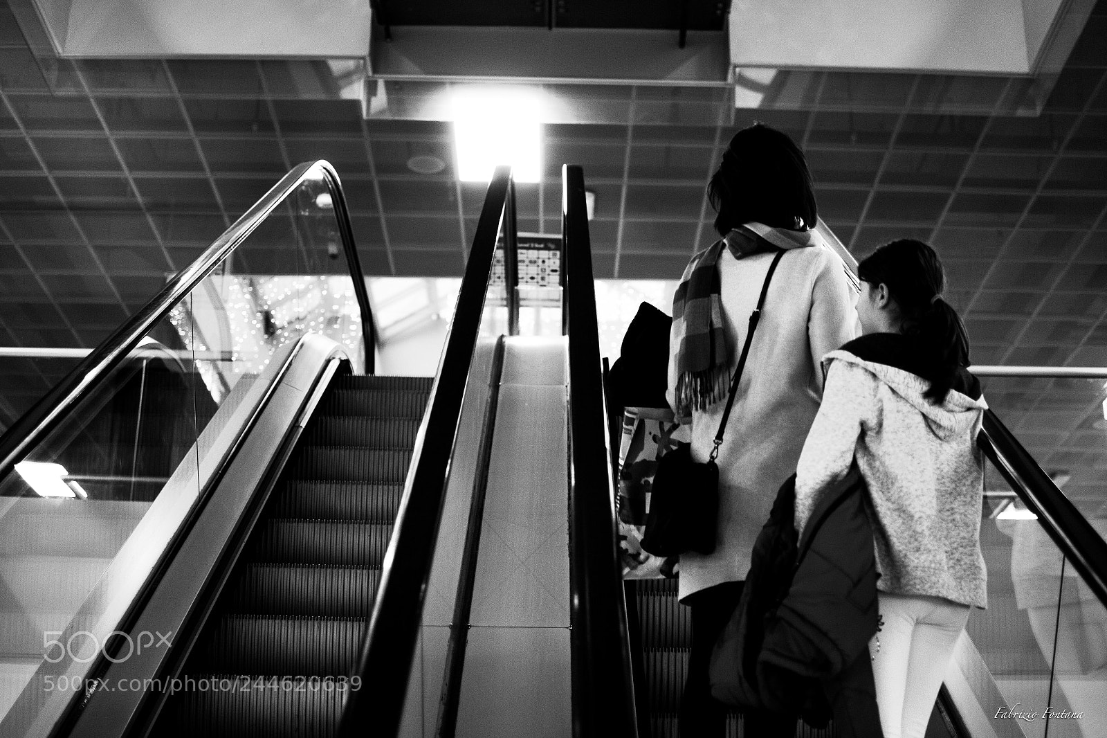 Nikon D500 sample photo. Untitled photography