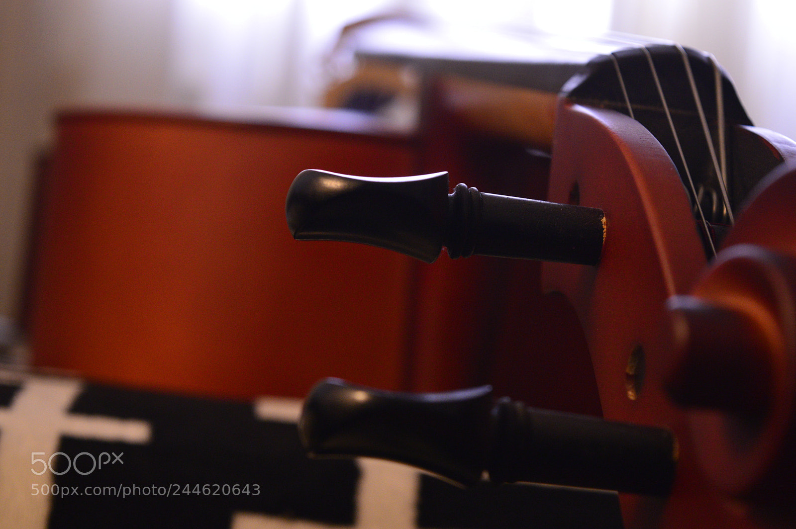 Nikon D3200 sample photo. Compañero ii photography