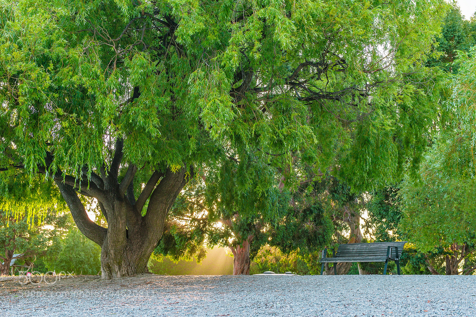 Nikon Df sample photo. Daylight photography