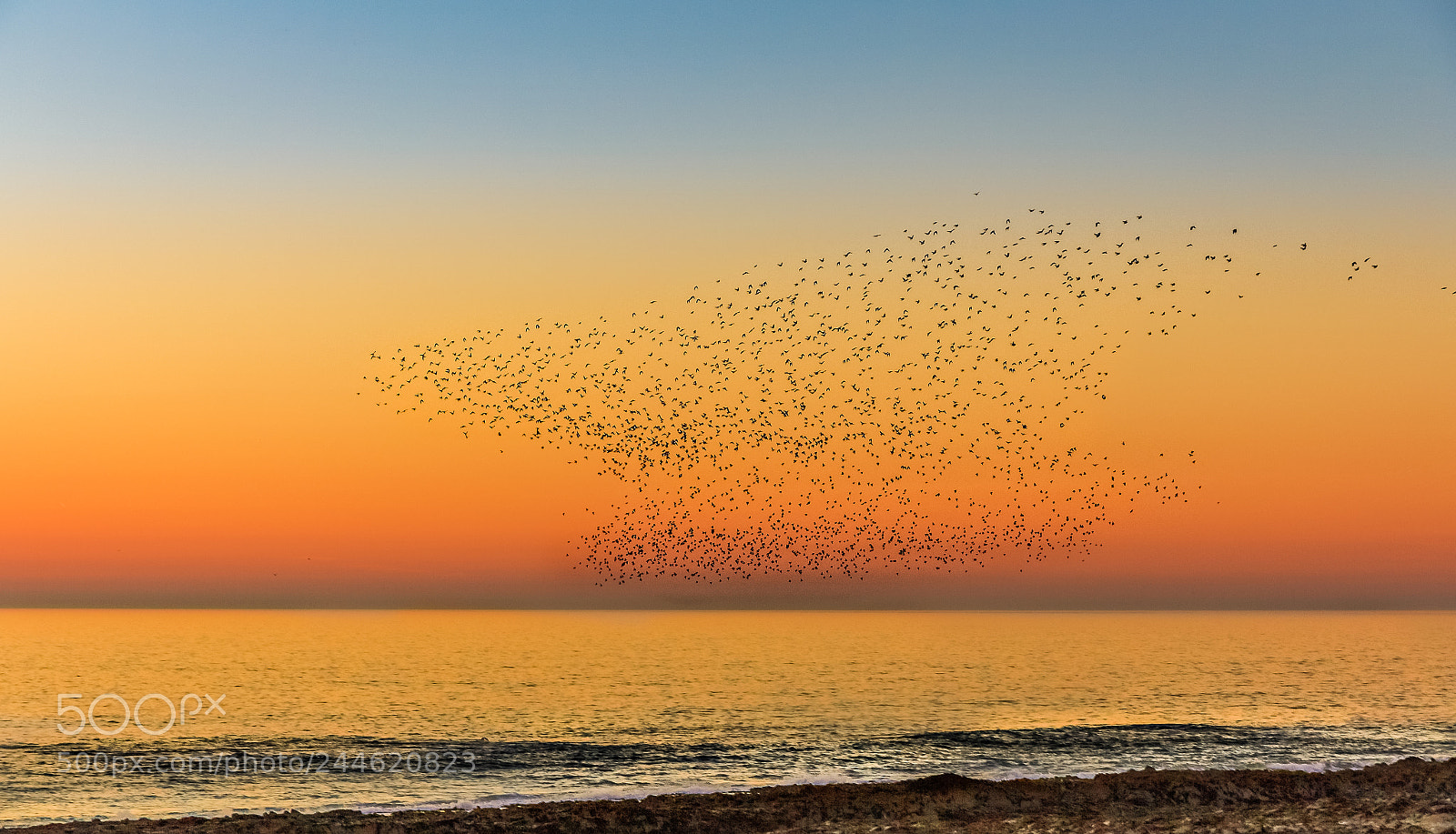 Canon EOS 60D sample photo. Flying anvil photography