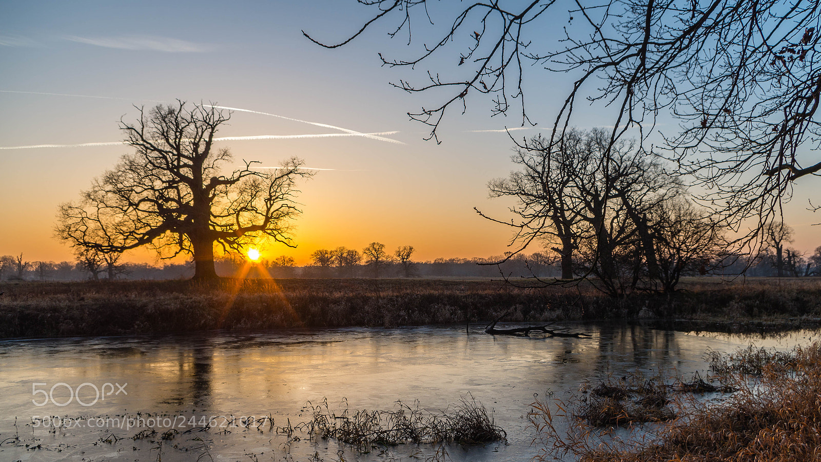 Pentax K-50 sample photo. Sunset and oaks photography