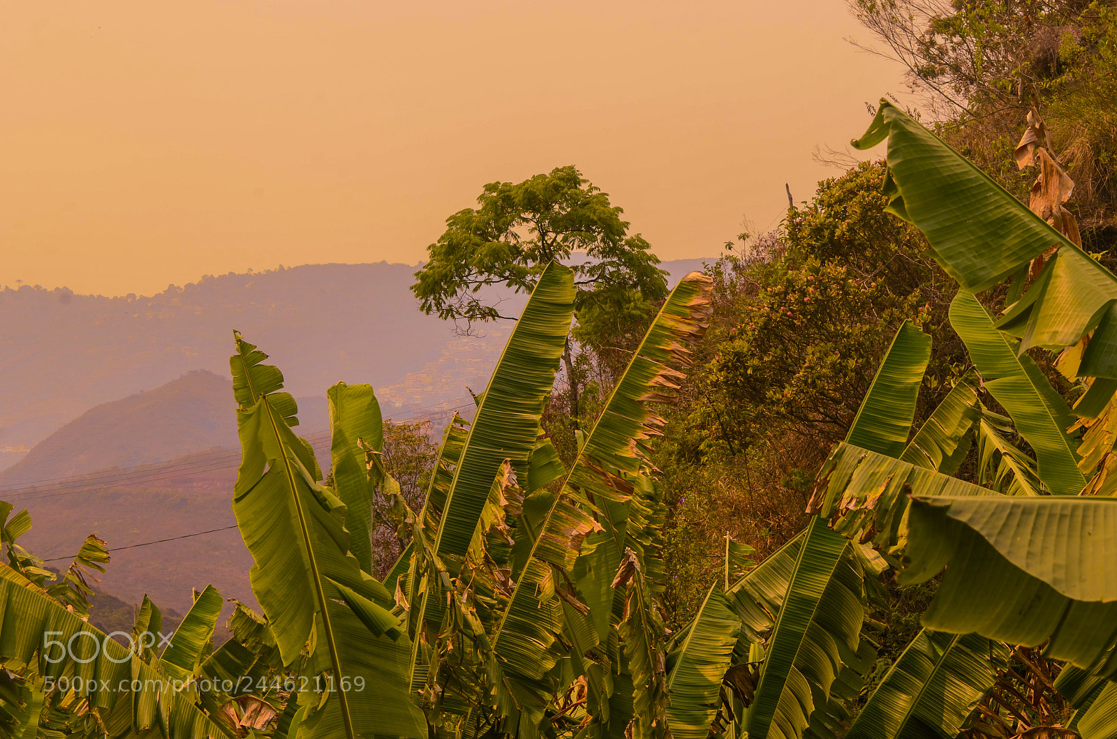 Nikon D5100 sample photo. Fire sky photography