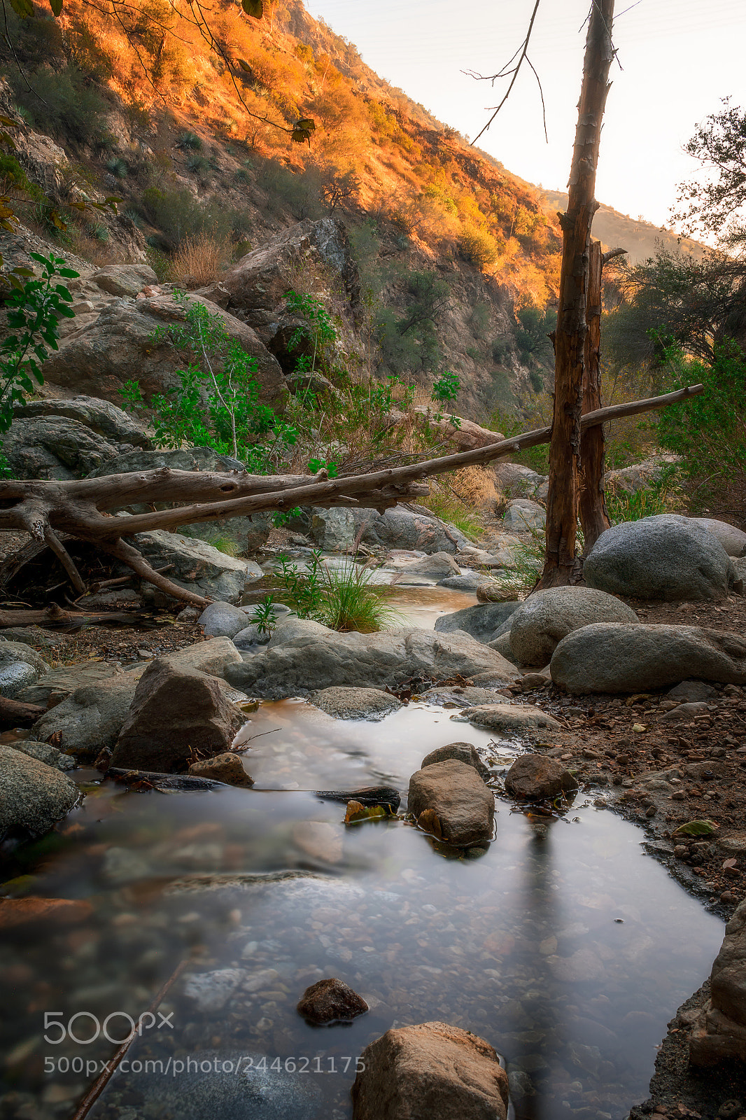 Nikon D3400 sample photo. By three methods we photography