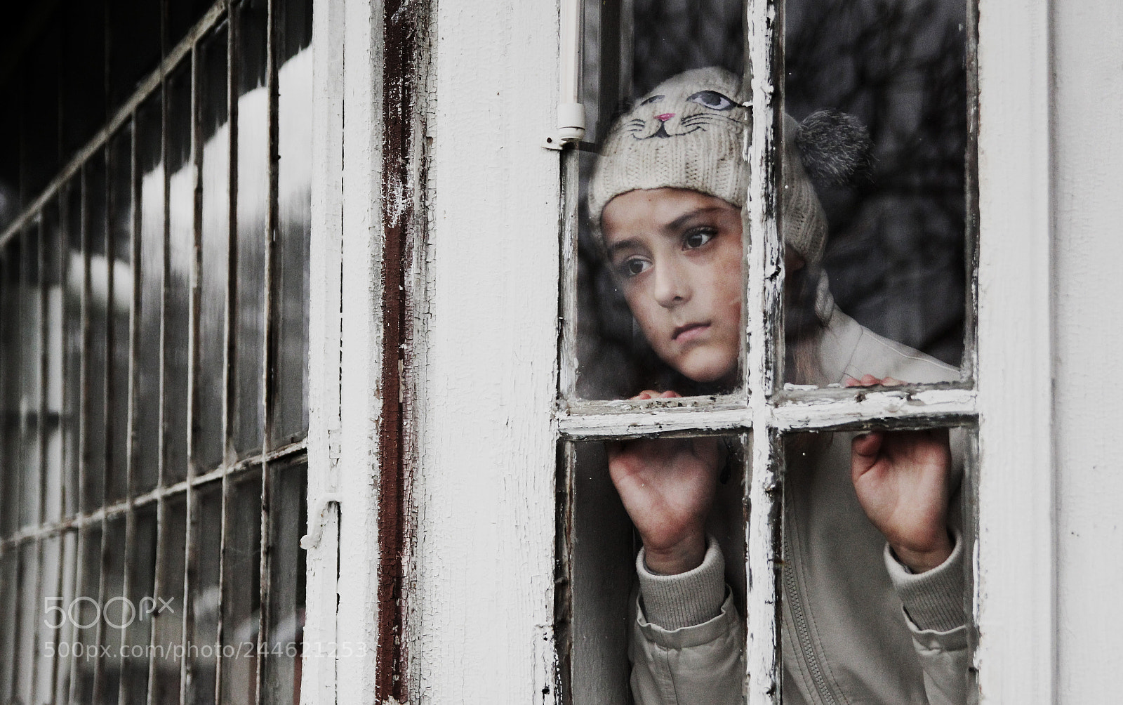 Canon EOS 60D sample photo. Nikola photography