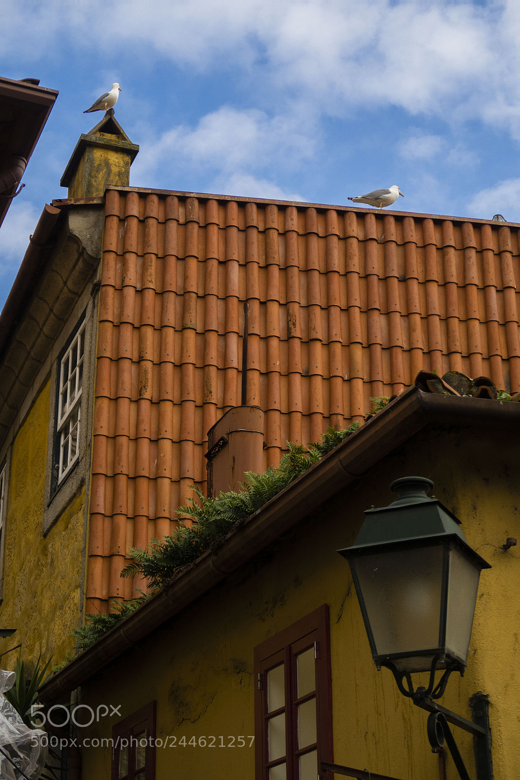 Canon PowerShot G7 X Mark II sample photo. Porto roofs photography