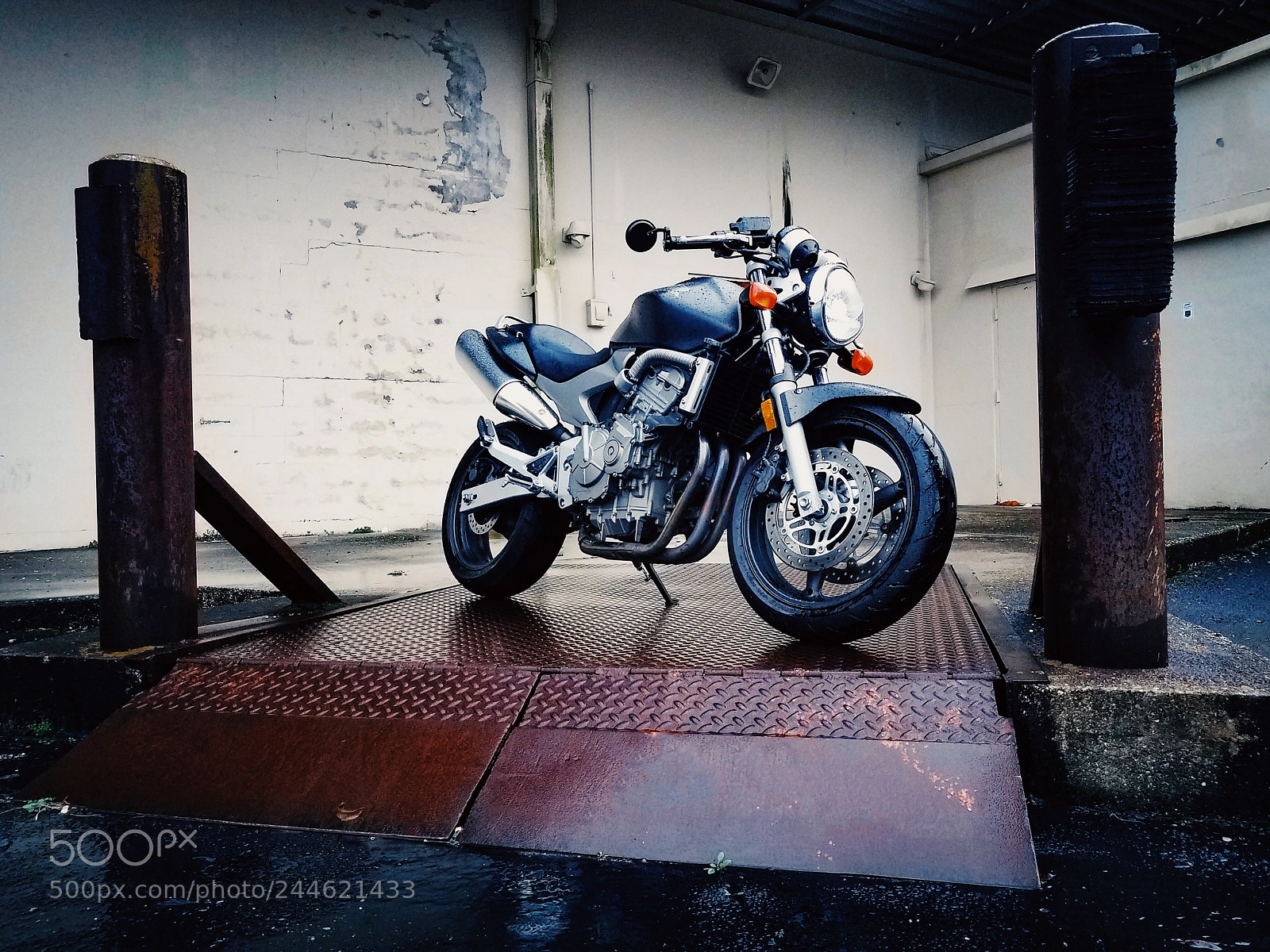 Samsung Galaxy S7 sample photo. 2004 honda 599, hornet, cb600f photography