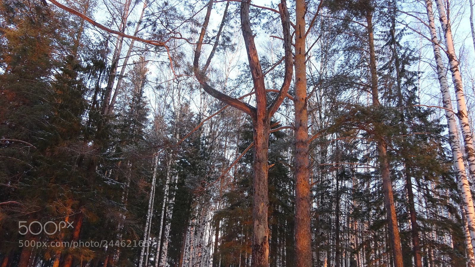 Sony Cyber-shot DSC-WX350 sample photo. Untitled photography