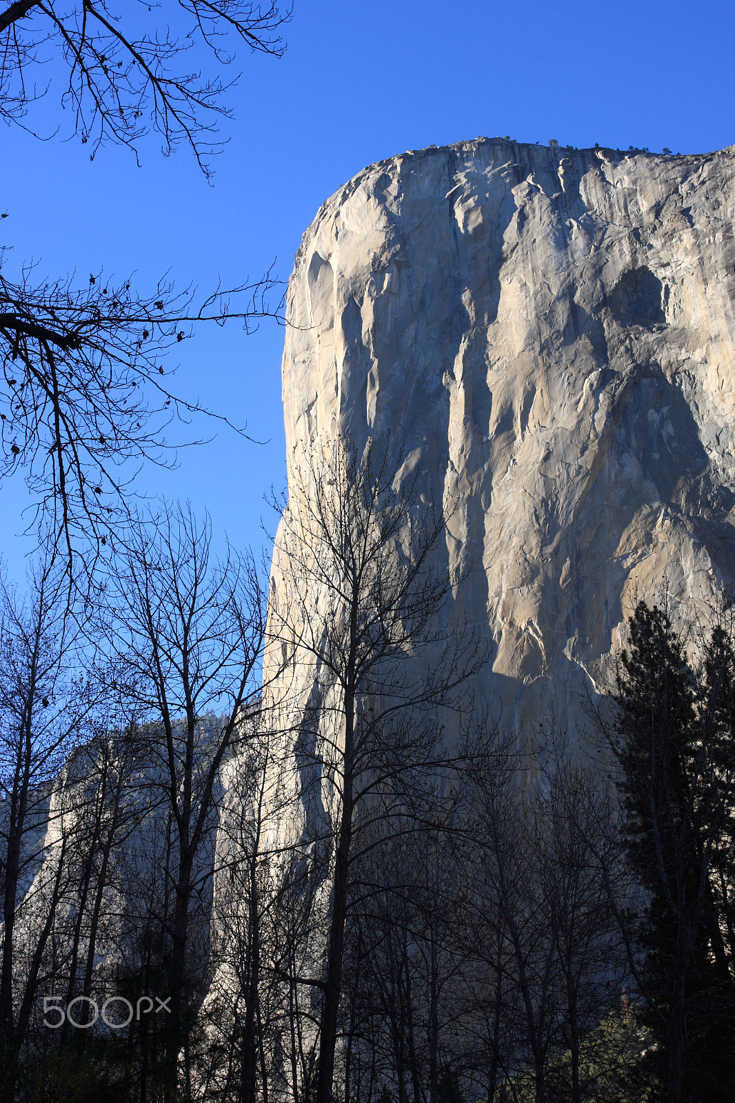Sigma 17-70mm F2.8-4 DC Macro OS HSM sample photo. El capitan photography