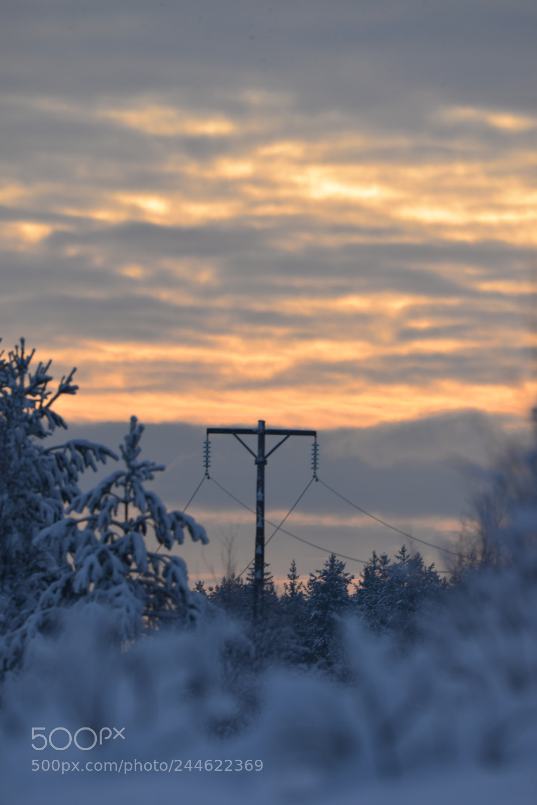 Nikon D610 sample photo. Old powerline photography