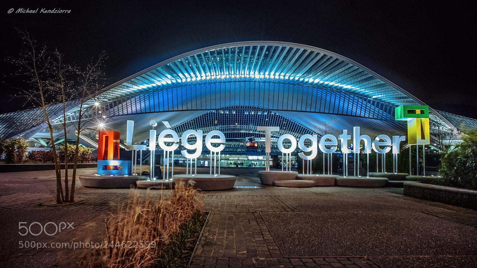 Sony a7 II sample photo. Liege together photography