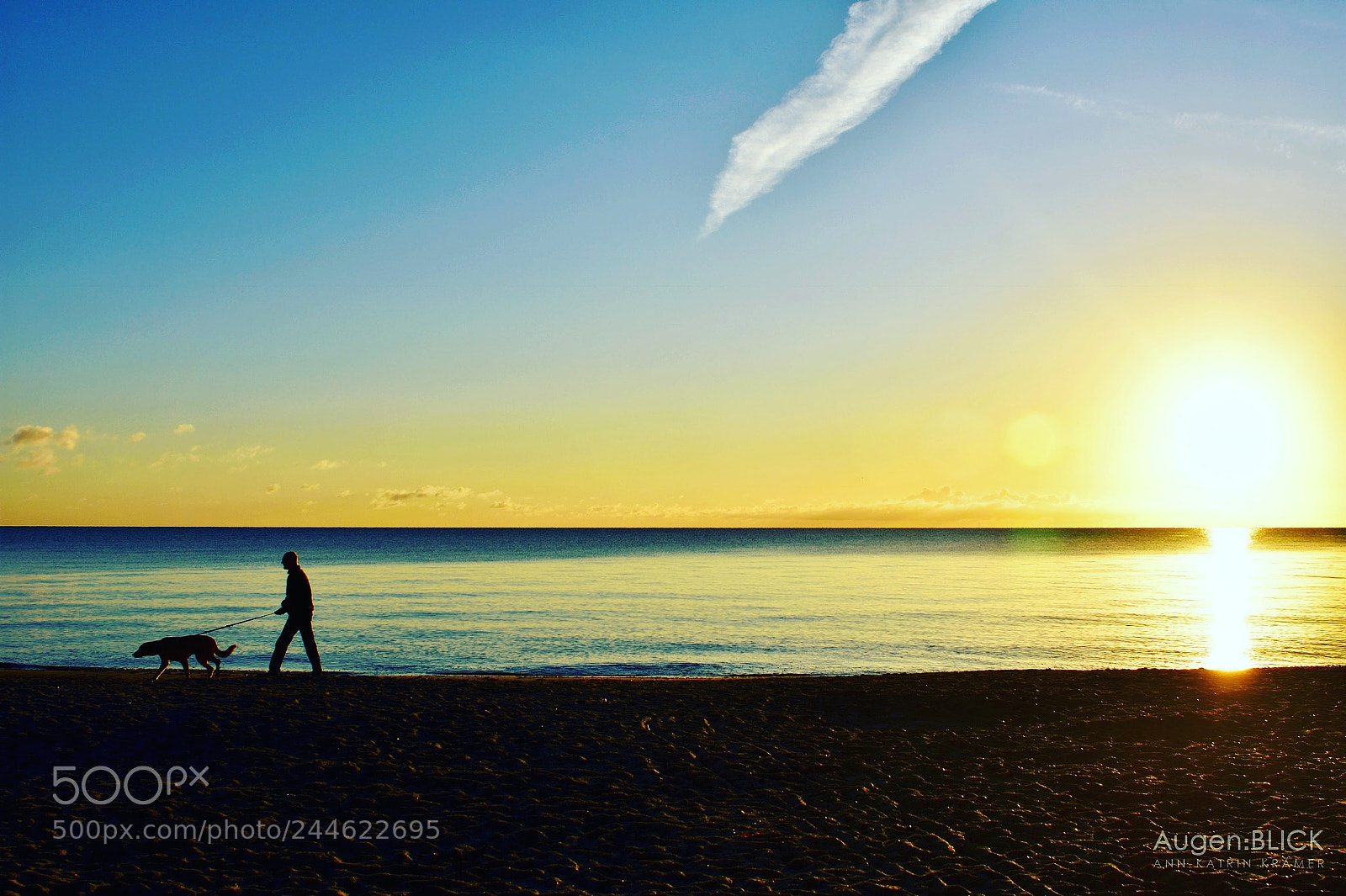 Nikon D7200 sample photo. Never walk alone photography