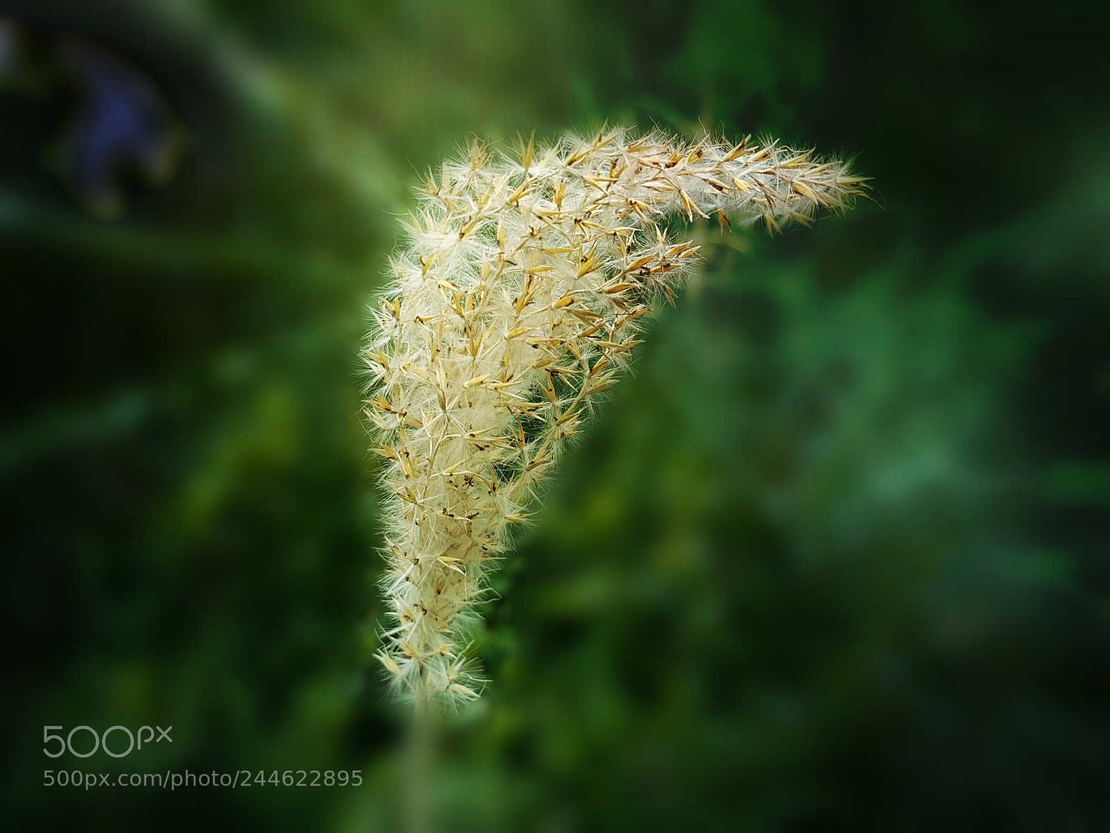 Samsung Galaxy Note4 sample photo. 241 photography