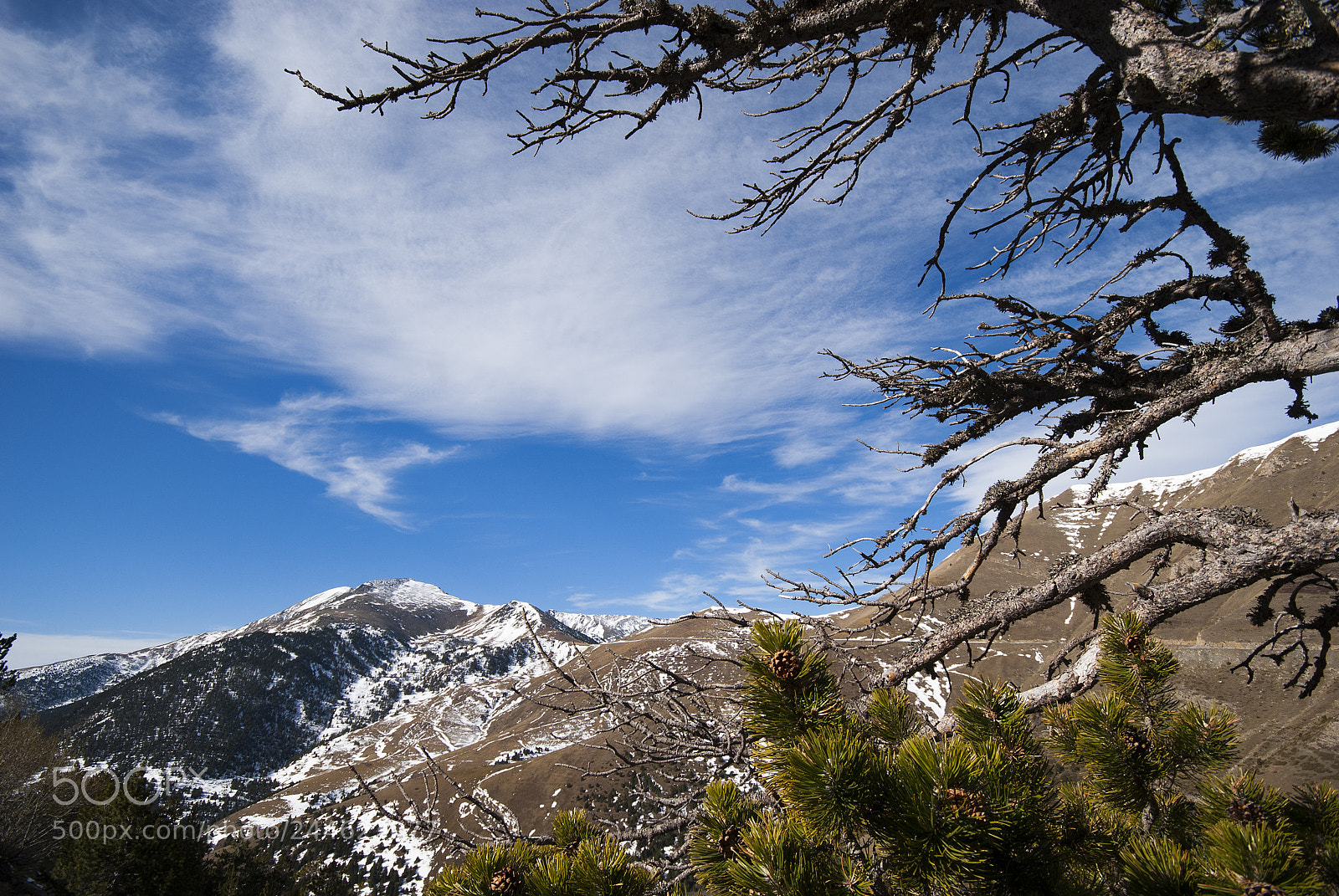 Nikon D200 sample photo. Imagen copia photography