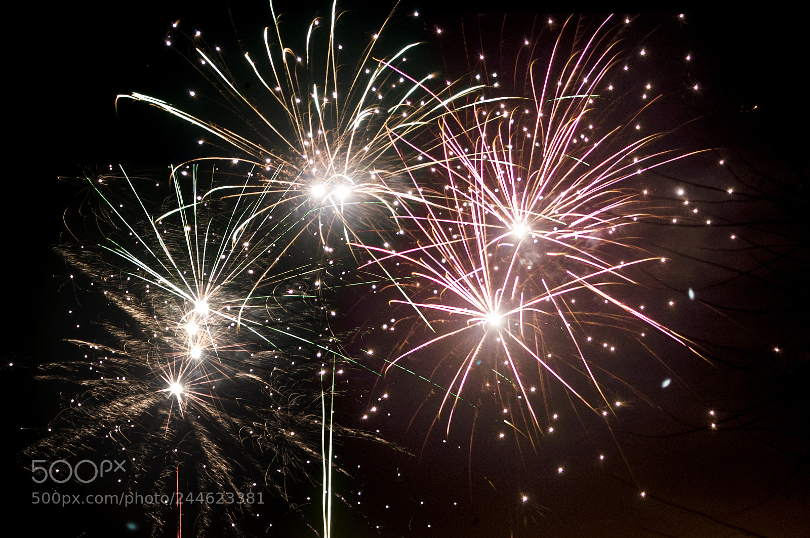 Nikon D100 sample photo. Fireworks photography