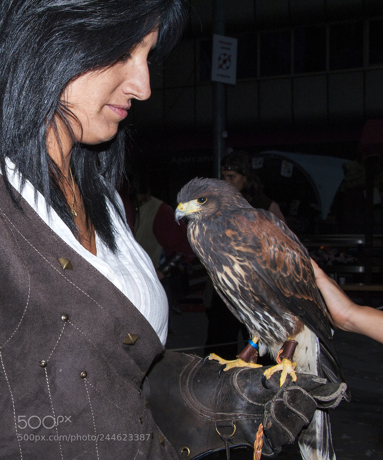 Nikon D3 sample photo. Copia photography