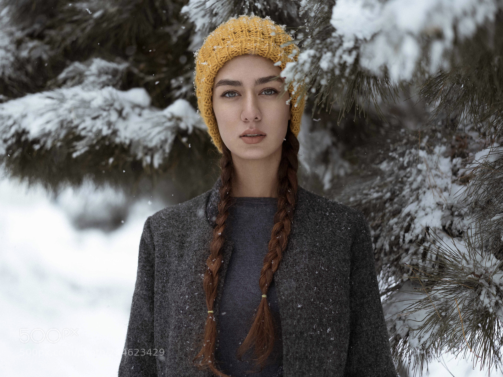 Sony a7R II sample photo. Untitled photography