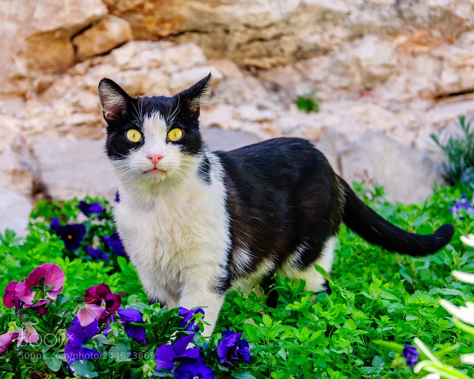 Nikon D90 sample photo. Split, croatia photography