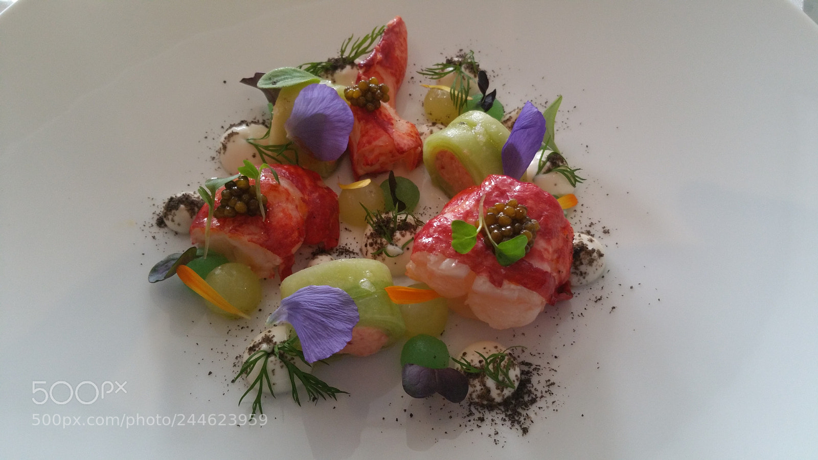 Samsung Galaxy Note4 sample photo. Homard bleu a creation photography